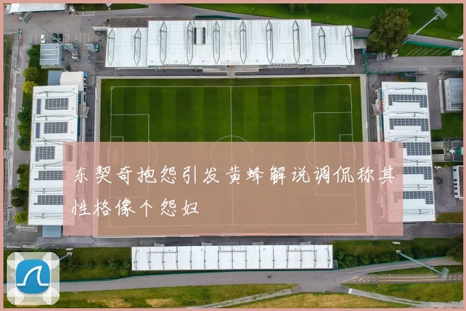 东契奇抱怨引发黄蜂解说调侃称其性格像个怨妇